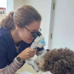 programa oftalmologia para veterinarios